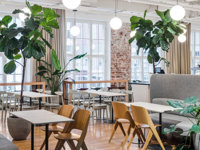 260107_lautatarhankatu_6_023-2500px