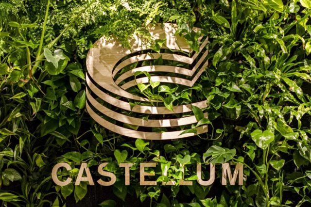 Castellum-D4A8356-plant wall with the Castellum logotype