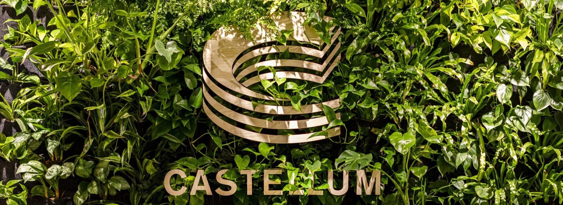 Castellum-D4A8356-plant wall with the Castellum logotype